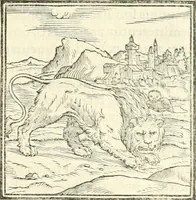 An illustration from Hieroglyphica, sive, De sacris Aegyptiorvm literis commentarii (1556)