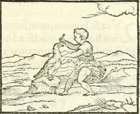 Picture 134 of 295 from Hieroglyphica, sive, De sacris Aegyptiorvm literis commentarii (1556), leaf 302