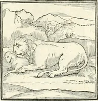 An illustration from Hieroglyphica, sive, De sacris Aegyptiorvm literis commentarii (1556)