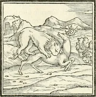 An illustration from Hieroglyphica, sive, De sacris Aegyptiorvm literis commentarii (1556)