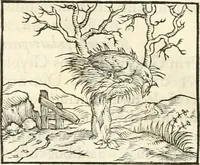 An illustration from Hieroglyphica, sive, De sacris Aegyptiorvm literis commentarii (1556)