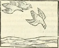 An illustration from Hieroglyphica, sive, De sacris Aegyptiorvm literis commentarii (1556)