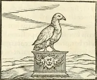 An illustration from Hieroglyphica, sive, De sacris Aegyptiorvm literis commentarii (1556)