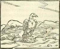 An illustration from Hieroglyphica, sive, De sacris Aegyptiorvm literis commentarii (1556)