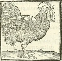 An illustration from Hieroglyphica, sive, De sacris Aegyptiorvm literis commentarii (1556)