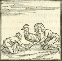 Picture 154 of 295 from Hieroglyphica, sive, De sacris Aegyptiorvm literis commentarii (1556), leaf 350