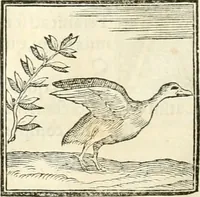 An illustration from Hieroglyphica, sive, De sacris Aegyptiorvm literis commentarii (1556)