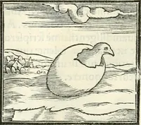 An illustration from Hieroglyphica, sive, De sacris Aegyptiorvm literis commentarii (1556)
