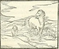 An illustration from Hieroglyphica, sive, De sacris Aegyptiorvm literis commentarii (1556)