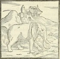 Picture 19 of 295 from Hieroglyphica, sive, De sacris Aegyptiorvm literis commentarii (1556), leaf 37