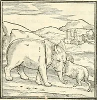 An illustration from Hieroglyphica, sive, De sacris Aegyptiorvm literis commentarii (1556)