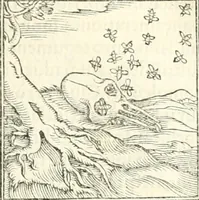 An illustration from Hieroglyphica, sive, De sacris Aegyptiorvm literis commentarii (1556)