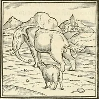 Picture 21 of 295 from Hieroglyphica, sive, De sacris Aegyptiorvm literis commentarii (1556), leaf 39