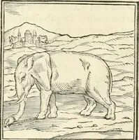 An illustration from Hieroglyphica, sive, De sacris Aegyptiorvm literis commentarii (1556)