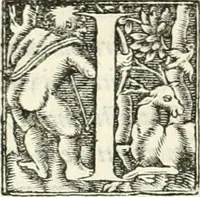 An illustration from Hieroglyphica, sive, De sacris Aegyptiorvm literis commentarii (1556)
