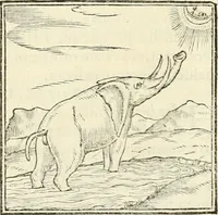 An illustration from Hieroglyphica, sive, De sacris Aegyptiorvm literis commentarii (1556)