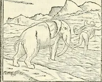 An illustration from Hieroglyphica, sive, De sacris Aegyptiorvm literis commentarii (1556)