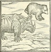An illustration from Hieroglyphica, sive, De sacris Aegyptiorvm literis commentarii (1556)