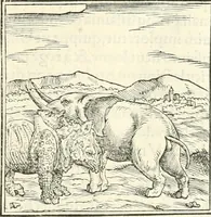 An illustration from Hieroglyphica, sive, De sacris Aegyptiorvm literis commentarii (1556)