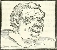 An illustration from Hieroglyphica, sive, De sacris Aegyptiorvm literis commentarii (1556)