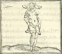 An illustration from Hieroglyphica, sive, De sacris Aegyptiorvm literis commentarii (1556)