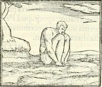 Picture 184 of 295 from Hieroglyphica, sive, De sacris Aegyptiorvm literis commentarii (1556), leaf 462