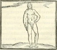 An illustration from Hieroglyphica, sive, De sacris Aegyptiorvm literis commentarii (1556)
