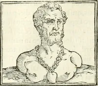 An illustration from Hieroglyphica, sive, De sacris Aegyptiorvm literis commentarii (1556)
