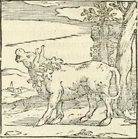 An illustration from Hieroglyphica, sive, De sacris Aegyptiorvm literis commentarii (1556)