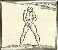 An illustration from Hieroglyphica, sive, De sacris Aegyptiorvm literis commentarii (1556)