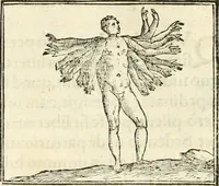 An illustration from Hieroglyphica, sive, De sacris Aegyptiorvm literis commentarii (1556)
