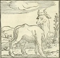 An illustration from Hieroglyphica, sive, De sacris Aegyptiorvm literis commentarii (1556)