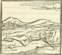 An illustration from Hieroglyphica, sive, De sacris Aegyptiorvm literis commentarii (1556)