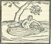 An illustration from Hieroglyphica, sive, De sacris Aegyptiorvm literis commentarii (1556)