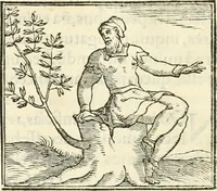 An illustration from Hieroglyphica, sive, De sacris Aegyptiorvm literis commentarii (1556)