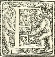 An illustration from Hieroglyphica, sive, De sacris Aegyptiorvm literis commentarii (1556)
