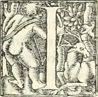An illustration from Hieroglyphica, sive, De sacris Aegyptiorvm literis commentarii (1556)