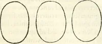An illustration from Hieroglyphica, sive, De sacris Aegyptiorvm literis commentarii (1556)