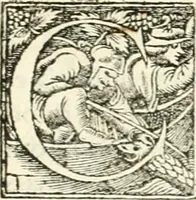 An illustration from Hieroglyphica, sive, De sacris Aegyptiorvm literis commentarii (1556)
