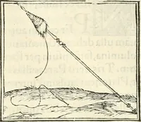 Picture 267 of 295 from Hieroglyphica, sive, De sacris Aegyptiorvm literis commentarii (1556), leaf 715