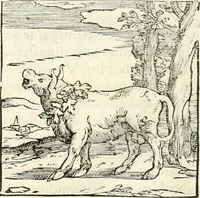 An illustration from Hieroglyphica, sive, De sacris Aegyptiorvm literis commentarii (1556)