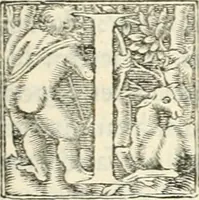 An illustration from Hieroglyphica, sive, De sacris Aegyptiorvm literis commentarii (1556)
