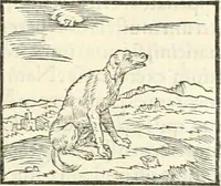 An illustration from Hieroglyphica, sive, De sacris Aegyptiorvm literis commentarii (1556)