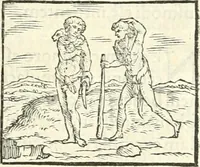 An illustration from Hieroglyphica, sive, De sacris Aegyptiorvm literis commentarii (1556)