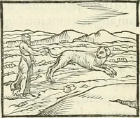 An illustration from Hieroglyphica, sive, De sacris Aegyptiorvm literis commentarii (1556)