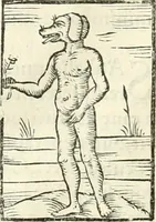 An illustration from Hieroglyphica, sive, De sacris Aegyptiorvm literis commentarii (1556)