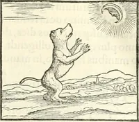 An illustration from Hieroglyphica, sive, De sacris Aegyptiorvm literis commentarii (1556)