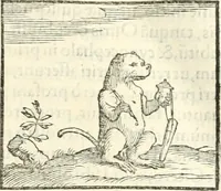 An illustration from Hieroglyphica, sive, De sacris Aegyptiorvm literis commentarii (1556)
