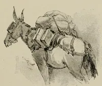 Picture 4 of 11 from De Saint-Louis a Tripoli par le Lac Tchad : voyage au travers du Soudan et du Sahara accompli pendant les années 1890-91-92 (1895), leaf 109