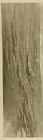 An illustration from De Saint-Louis a Tripoli par le Lac Tchad : voyage au travers du Soudan et du Sahara accompli pendant les années 1890-91-92 (1895)
